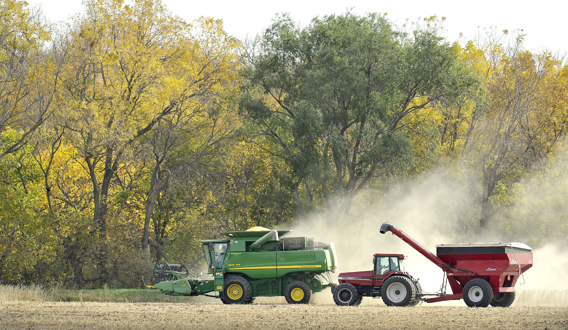 Harvest time